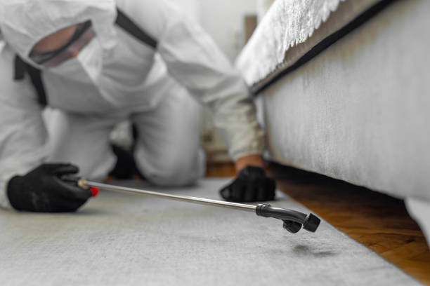 Professional Pest Control technician working in Cambria, CA