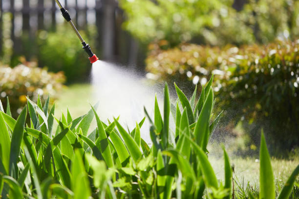 24/7 Emergency Pest Control experts in Cambria, CA