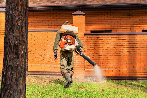 Top rated local Pest Control specialists in Cambria, CA